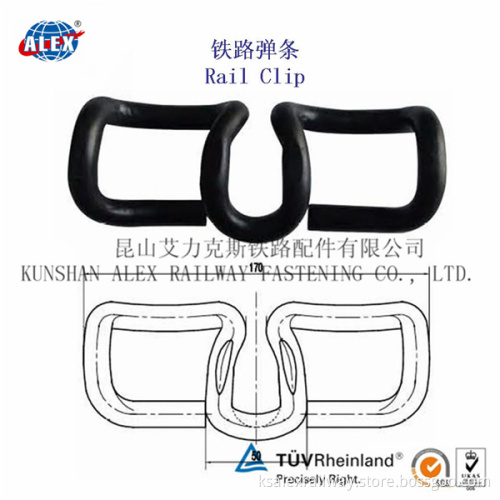 Railroad clip SKL12